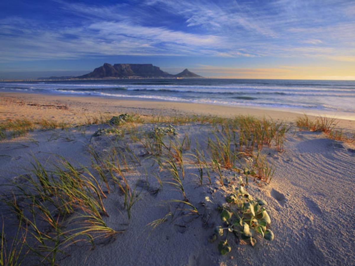 Table View Villas Bloubergstrand Extérieur photo